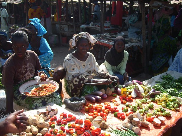 gambia 2008 v1 121